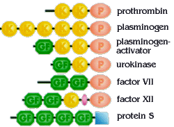 bc-factors.gif