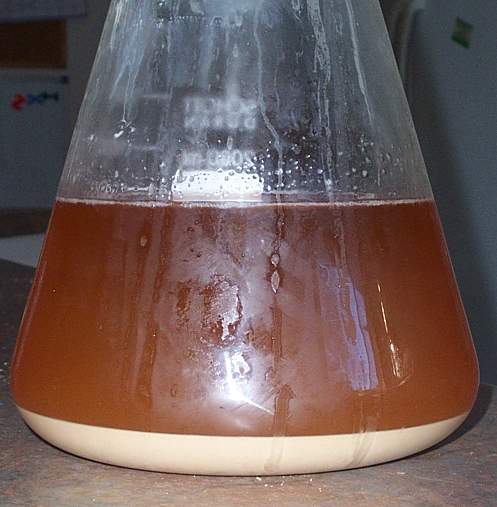 Stirrer2LYeast.jpg