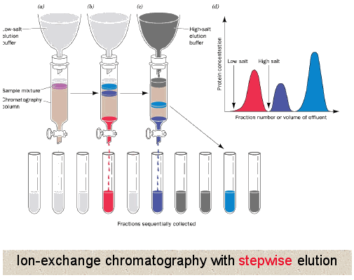 ion_exchange_stepwise.gif