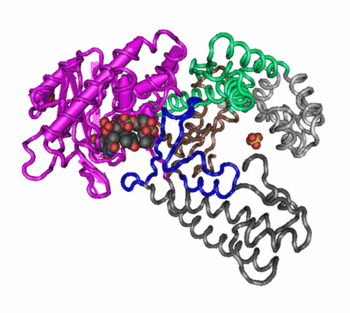 quaternary structure of proteins