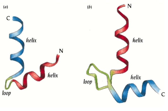 Helices перевод. Quinn Helix. Helix structure. Helix перевод. Helix стенд.